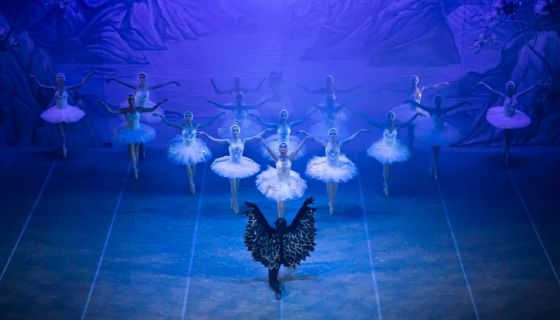 Балет «Лебединое озеро», Михайлов