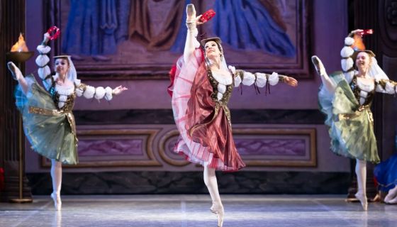 Балет «Лебединое озеро», Михайлов
