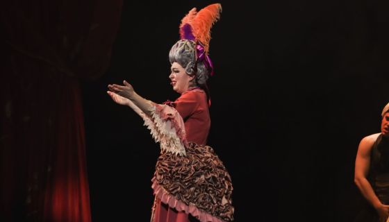 Мюзикл «Опасные связи»