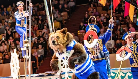 Цирковое шоу «Новогодняя тайна пирата»