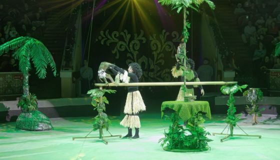 Цирковое шоу «Новогодняя тайна пирата»