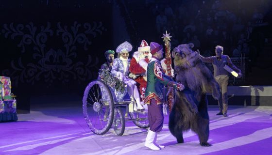 Цирковое шоу «Новогодняя тайна пирата»