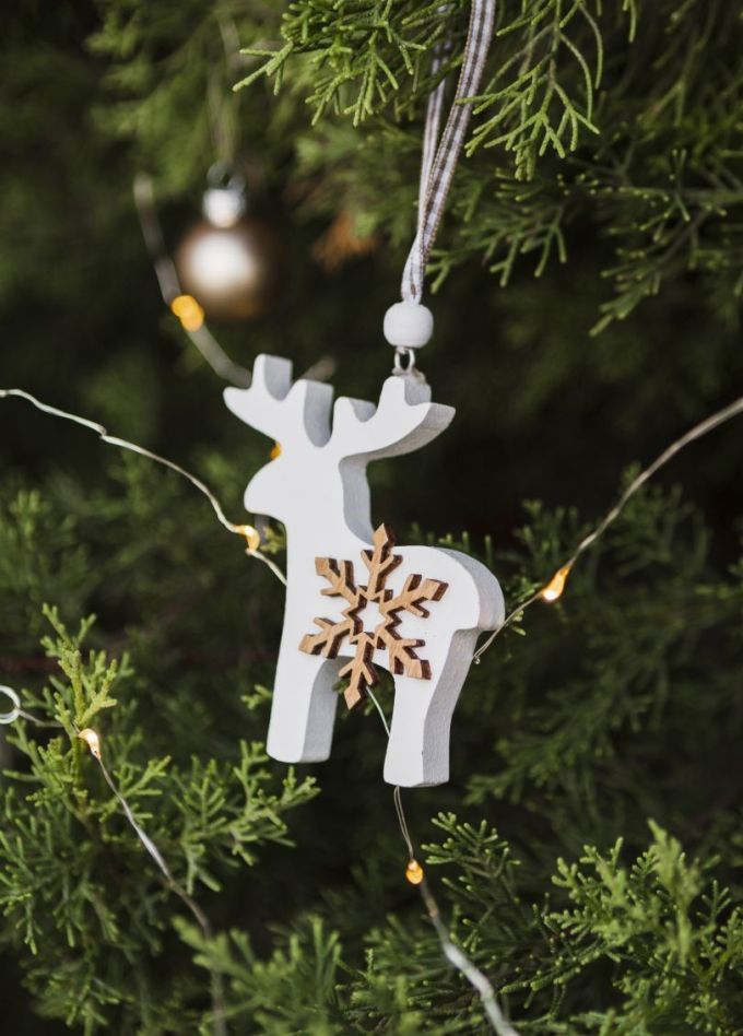 Спектакль «Новогодние приключения Шустрика и Кнопы»