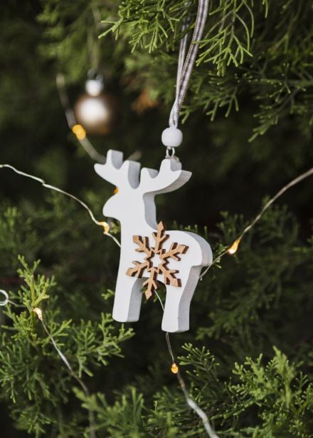 Спектакль «Новогодние приключения Шустрика и Кнопы»