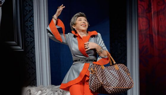 Спектакль «Мужчина с доставкой на дом»