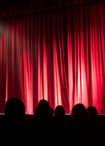 Цирковое шоу «Рони, дочь разбойника»