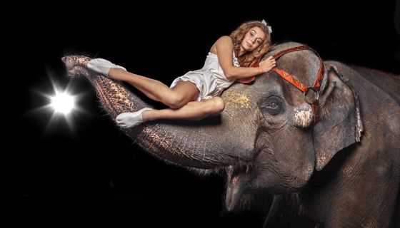 Цирк «Девочка и слон»