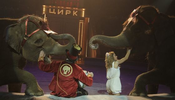 Цирк «Девочка и слон»