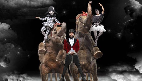 Цирк «Девочка и слон»