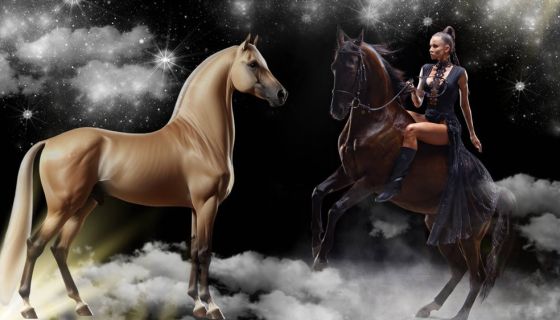 Цирк «Девочка и слон»