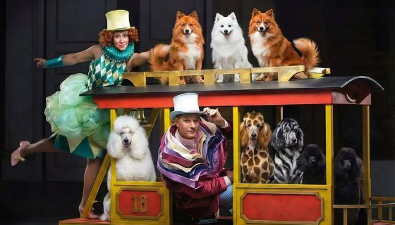 Цирк «Девочка и слон»